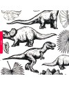 Transfer ceramiczny Dinozaury