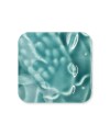 Szkliwo LG-25 TURQUOISE GREEN