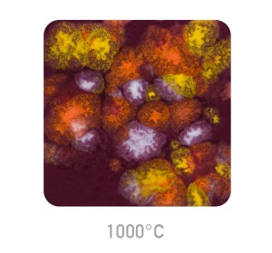 Ceramic glaze Mayco CG-969 Floral Fantasy - 1240.design