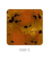 Ceramic glaze Mayco S-2725 Safari - 1240.design