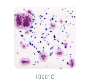 Ceramic glaze Mayco CG-1011 Frosted Berries-1240.design