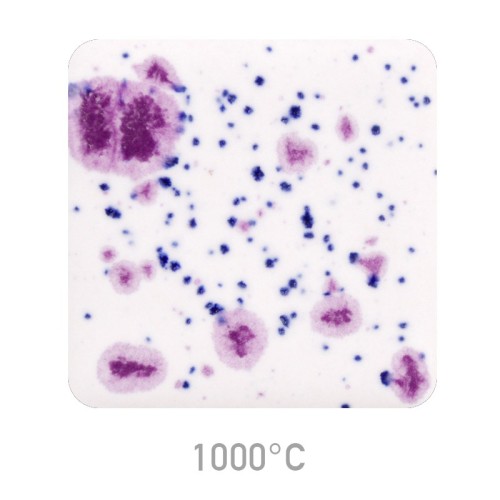 Ceramic glaze Mayco CG-1011 Frosted Berries-1240.design