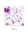 Ceramic glaze Mayco CG-1011 Frosted Berries-1240.design