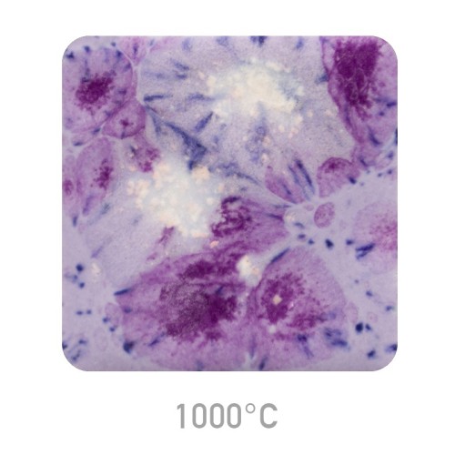 Ceramic glaze Mayco CG-1006 Purple Reign - 1240.design