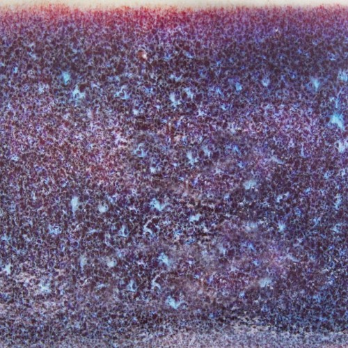 Szkliwo ceramiczne Speedball 2134 Galaxy Mist - 1240.design