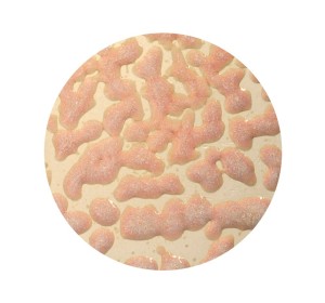 AMACO CR-17 Flux Crawl  stoneware glaze - 1240.design