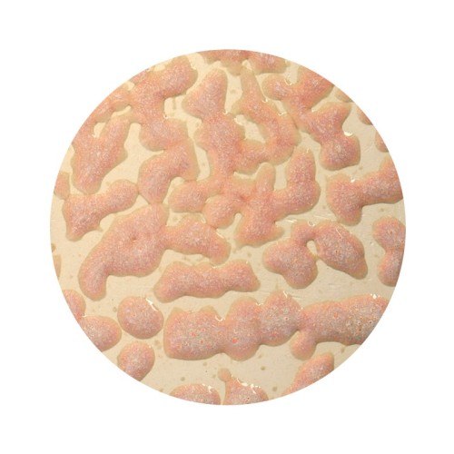 AMACO CR-17 Flux Crawl  stoneware glaze - 1240.design