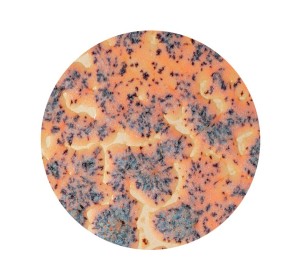 AMACO CR-18 Speckled Flux Crawl  stoneware glaze - 1240.design