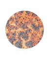 AMACO CR-18 Speckled Flux Crawl  stoneware glaze - 1240.design