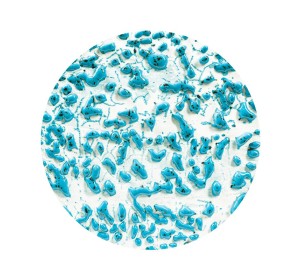 Szkliwo AMACO CR-22 Speckled Teal - 1240.design