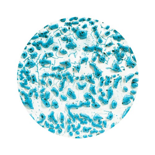 Szkliwo AMACO CR-22 Speckled Teal - 1240.design