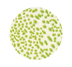 AMACO CR-41 Lime stoneware glaze - 1240.design