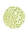 AMACO CR-41 Lime stoneware glaze - 1240.design