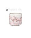 AMACO CR-51 Speckled Pink stoneware glaze - 1240.design