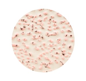 AMACO CR-51 Speckled Pink stoneware glaze - 1240.design