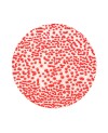Szkliwo AMACO CR-58 Red - 1240.design