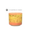 Szkliwo AMACO CR-61 Speckled Yellow - 1240.design