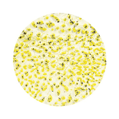 Szkliwo AMACO CR-61 Speckled Yellow - 1240.design