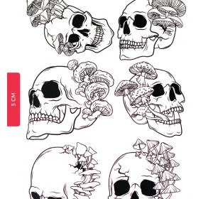 Skulls 2 ceramic transfer - 1240.design