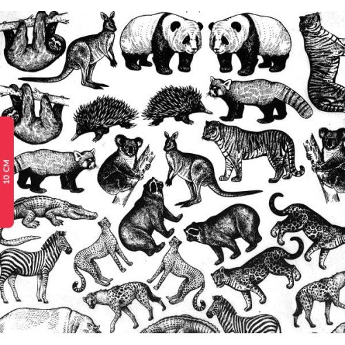 Transfer ceramiczny Safari