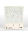 Szkliwo Mayco SW-232 Baby Blue Speck - 1240.design
